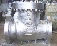 Cast Steel Bolted Cover- 1