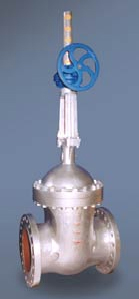 Bolted Bonnet API 600 -2